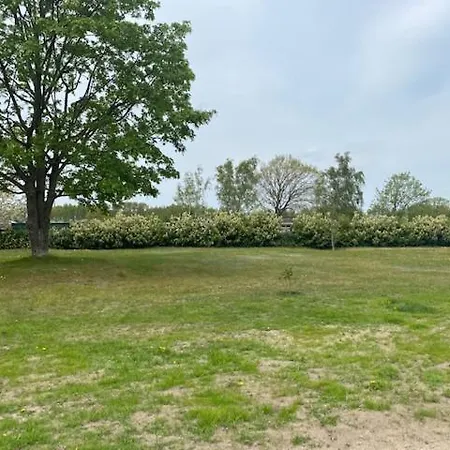 Ostseestille Am Bodden Mit Kamin Daire